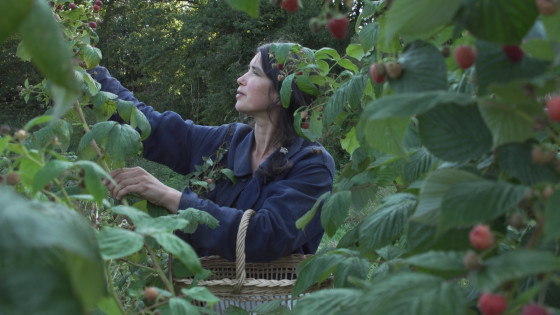 camille framboises